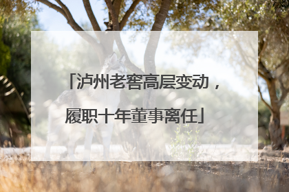 泸州老窖高层变动，履职十年董事离任