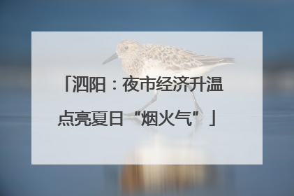 泗阳：夜市经济升温 点亮夏日“烟火气”