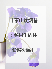 泰山炊烟巷：乡村生活体验游火爆