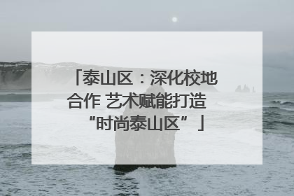 泰山区：深化校地合作 艺术赋能打造“时尚泰山区”
