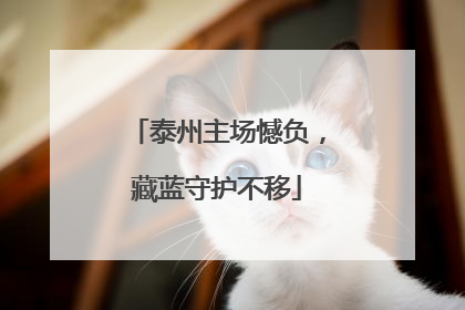 泰州主场憾负，藏蓝守护不移