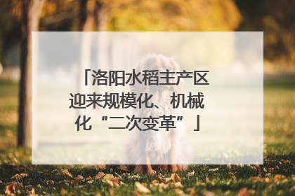 洛阳水稻主产区迎来规模化、机械化“二次变革”