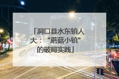 洞口县水东镇人大：“蘑菇小镇”的破局实践