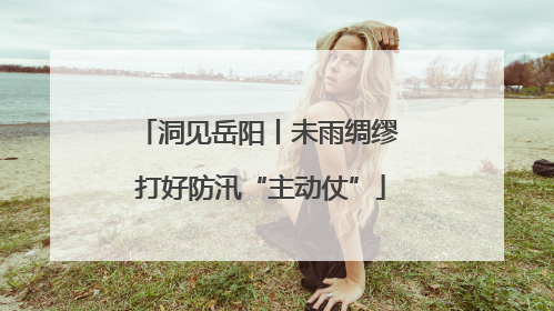 洞见岳阳丨未雨绸缪 打好防汛“主动仗”