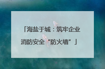 海盐于城：筑牢企业消防安全“防火墙”