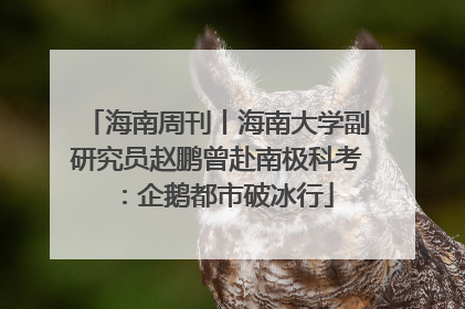 海南周刊丨海南大学副研究员赵鹏曾赴南极科考：企鹅都市破冰行