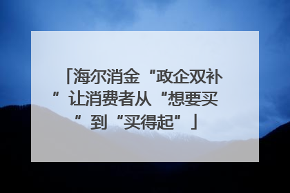海尔消金“政企双补”让消费者从“想要买”到“买得起”