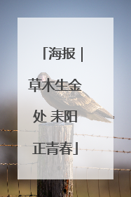 海报｜草木生金处 耒阳正青春