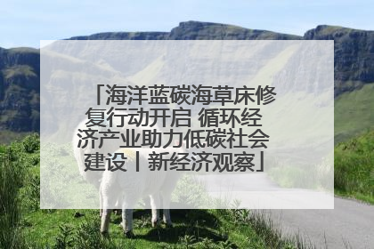 海洋蓝碳海草床修复行动开启 循环经济产业助力低碳社会建设丨新经济观察
