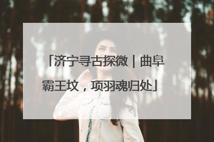 济宁寻古探微｜曲阜霸王坟，项羽魂归处