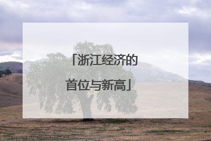 浙江经济的首位与新高