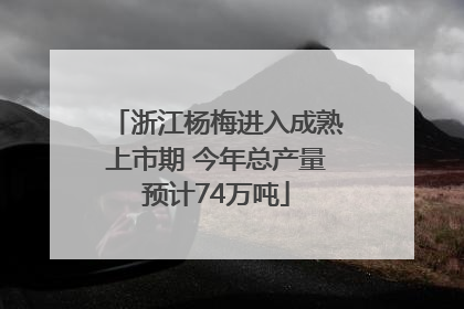 浙江杨梅进入成熟上市期 今年总产量预计74万吨