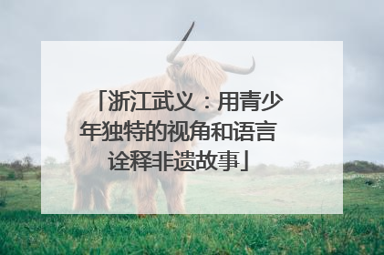 浙江武义：用青少年独特的视角和语言诠释非遗故事