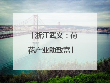 浙江武义：荷花产业助致富