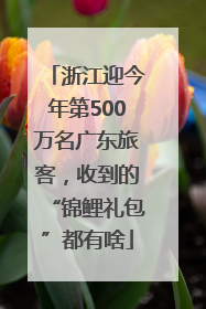 浙江迎今年第500万名广东旅客，收到的“锦鲤礼包”都有啥
