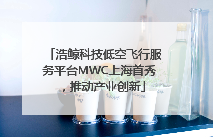 浩鲸科技低空飞行服务平台MWC上海首秀，推动产业创新