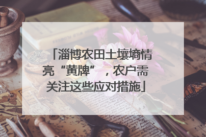 淄博农田土壤墒情亮“黄牌”，农户需关注这些应对措施