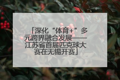 深化“体育+”多元跨界融合发展——江苏省首届匹克球大赛在无锡开赛