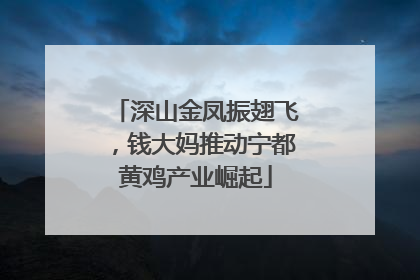 深山金凤振翅飞，钱大妈推动宁都黄鸡产业崛起