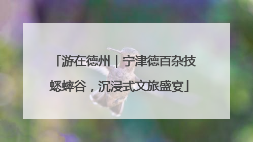 游在德州｜宁津德百杂技蟋蟀谷，沉浸式文旅盛宴