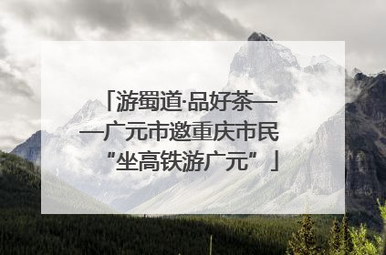 游蜀道·品好茶——广元市邀重庆市民“坐高铁游广元”