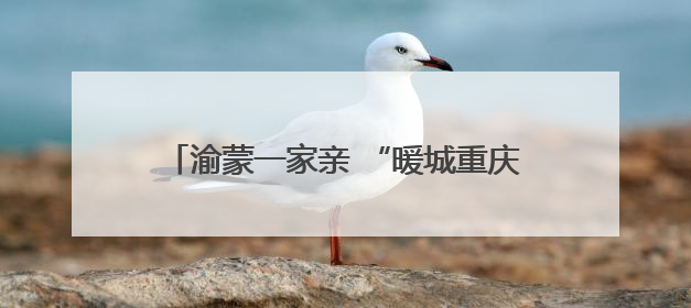渝蒙一家亲 “暖城重庆村”开村盛典璀璨启幕