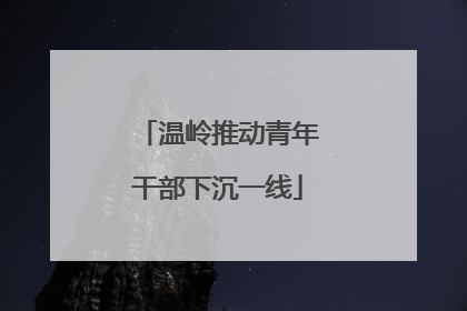 温岭推动青年干部下沉一线