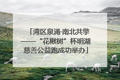 湾区泉涌·南北共擎——“花楸树”杯明湖慈善公益跑成功举办