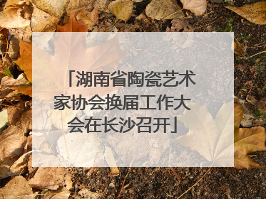 湖南省陶瓷艺术家协会换届工作大会在长沙召开
