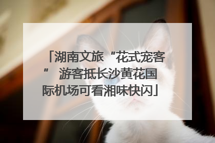 湖南文旅“花式宠客” 游客抵长沙黄花国际机场可看湘味快闪