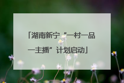 湖南新宁“一村一品一主播”计划启动