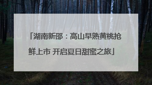 湖南新邵：高山早熟黄桃抢鲜上市 开启夏日甜蜜之旅