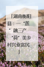 湖南衡阳县：一“莲”融三产 “荷”美乡村兴业富民