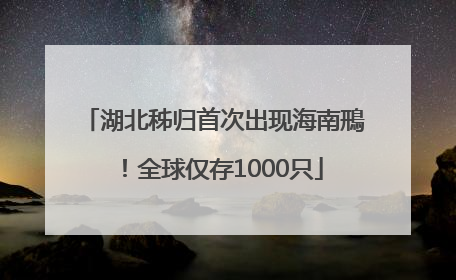 湖北秭归首次出现海南鳽！全球仅存1000只