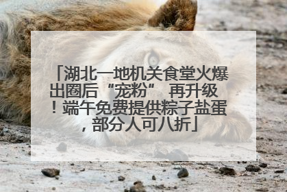 湖北一地机关食堂火爆出圈后“宠粉” 再升级！端午免费提供粽子盐蛋，部分人可八折