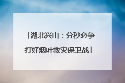 湖北兴山：分秒必争 打好烟叶救灾保卫战