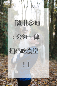 湖北多地：公务一律扫码吃食堂！