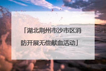 湖北荆州市沙市区消防开展无偿献血活动