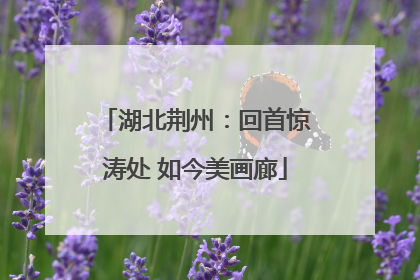 湖北荆州：回首惊涛处 如今美画廊
