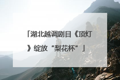 湖北越调剧目《顶灯》绽放“梨花杯”