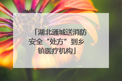 湖北通城送消防安全“处方”到乡镇医疗机构