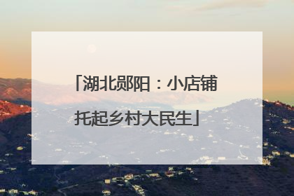 湖北郧阳：小店铺托起乡村大民生