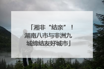 湘非“结亲”！湖南八市与非洲九城缔结友好城市