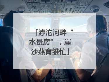 滹沱河畔“水景房”，崖沙燕育雏忙