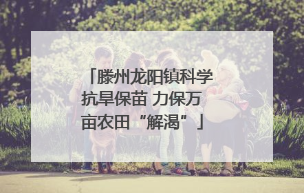 滕州龙阳镇科学抗旱保苗 力保万亩农田“解渴”