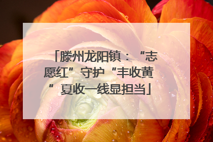 滕州龙阳镇：“志愿红”守护“丰收黄”夏收一线显担当