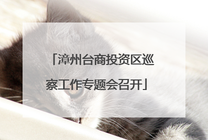 漳州台商投资区巡察工作专题会召开