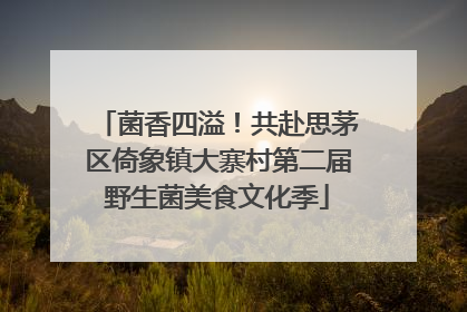菌香四溢！共赴思茅区倚象镇大寨村第二届野生菌美食文化季