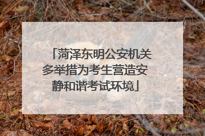 菏泽东明公安机关多举措为考生营造安静和谐考试环境
