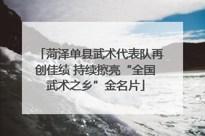 菏泽单县武术代表队再创佳绩 持续擦亮“全国武术之乡”金名片